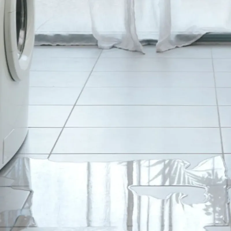 Appliance Leak Cleanup in Silver Spring, MD
