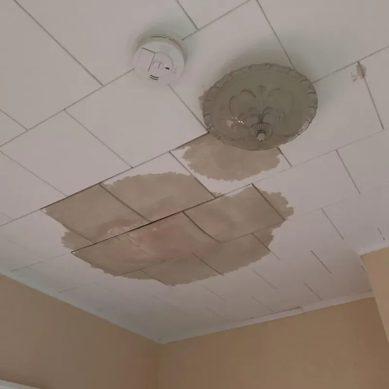 Ceiling Water Damage Repair in Silver Spring, MD